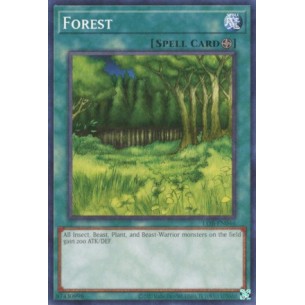 Foresta