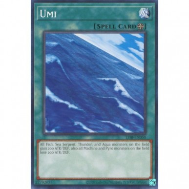 Umi