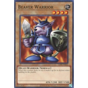 Beaver Warrior
