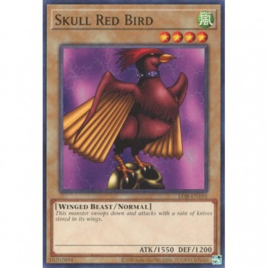 Skull Red Bird