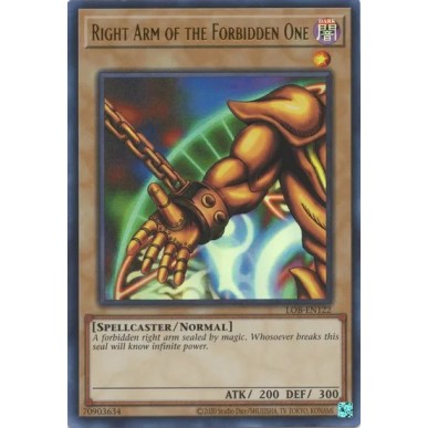 Right Arm of the Forbidden One