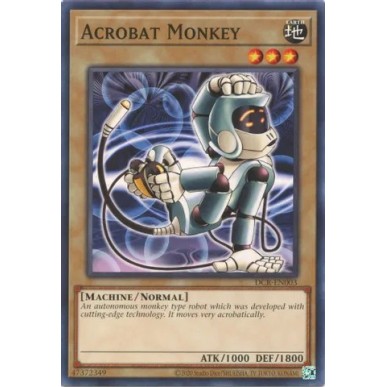 Acrobat Monkey