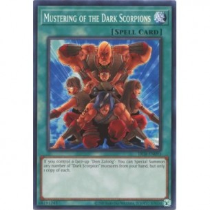 Raduno dei Dark Scorpion