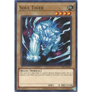 Tigre dell'Anima