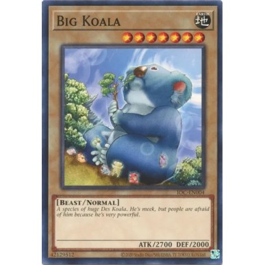 Grande Koala