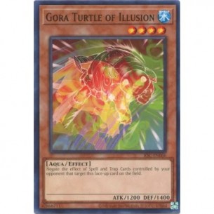 Tartaruga Gora dell'Illusione