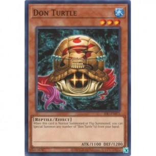Tartaruga Don