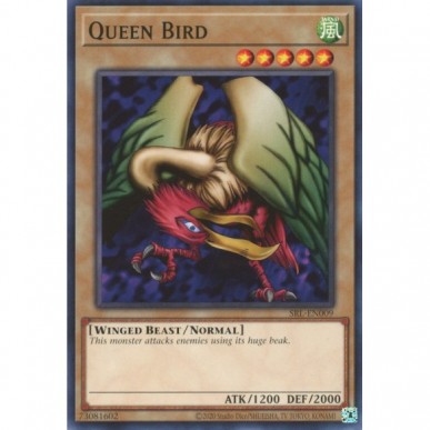 Uccello Regina