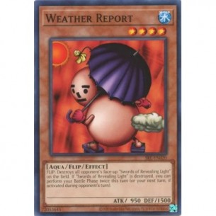 Previsioni Meteo 