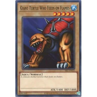 Giant Turtle Who Feeds on Flames