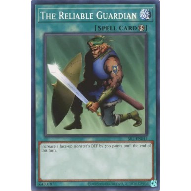 The Reliable Guardian