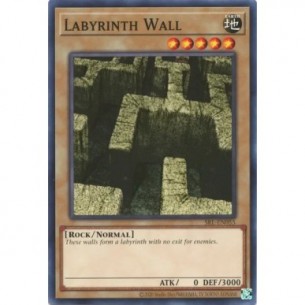 Labyrinth Wall