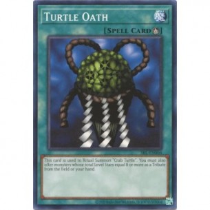 Turtle Oath 