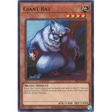 Giant Rat 