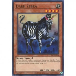 Zebra Oscura