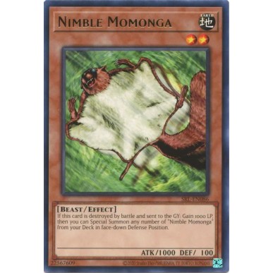 L'Agile Momonga