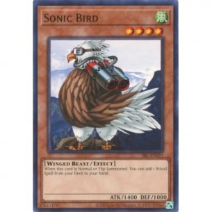 Sonic Bird
