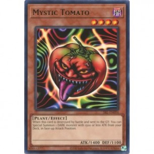 Mystic Tomato