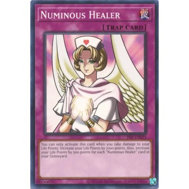 Numinous Healer