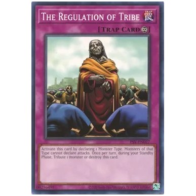 The Regulation of Tribe