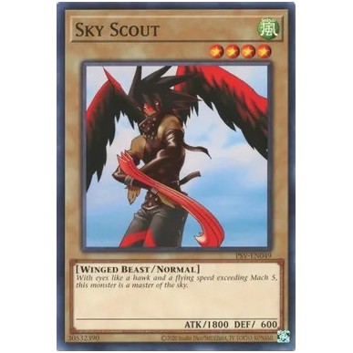 Scout del Cielo 