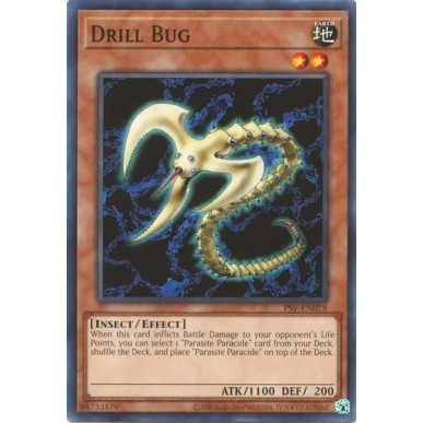 Drill Bug