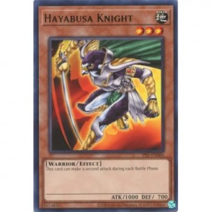 Cavaliere Hayabusa