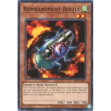 Bombardment Beetle