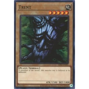Trent 