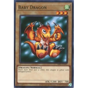 Cucciolo di Drago