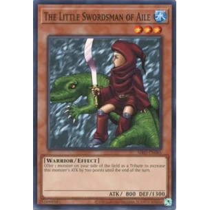 Piccolo Spadaccino di Aile