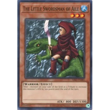 Piccolo Spadaccino di Aile