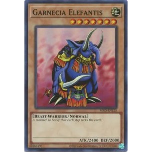 Elefante Garnecia
