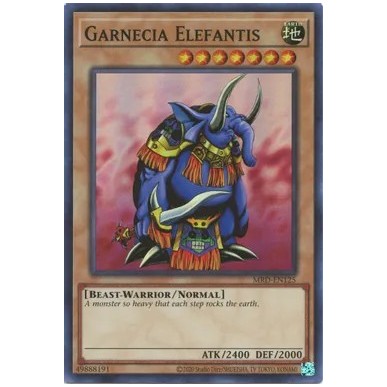Elefante Garnecia