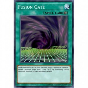 Fusion Gate (V.2 - Common)