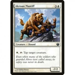 Mastino di Akros