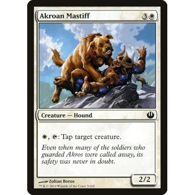 Mastino di Akros