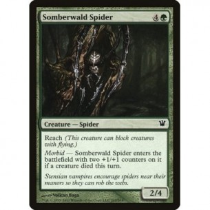 Ragno di Somberwald