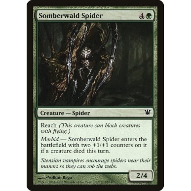 Ragno di Somberwald