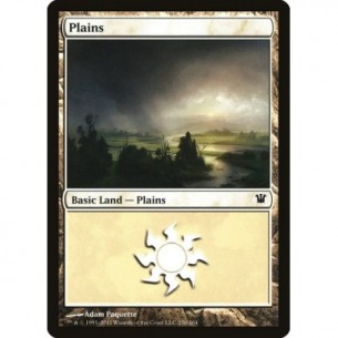 Plains