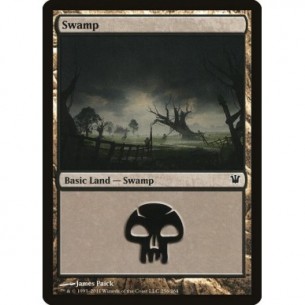 Swamp