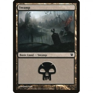 Swamp