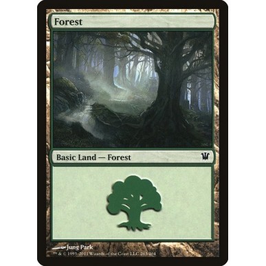 Forest