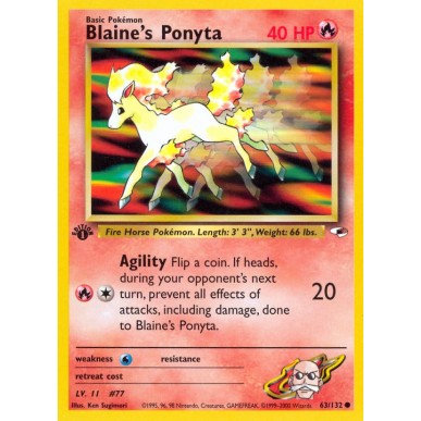 Blaine's Ponyta