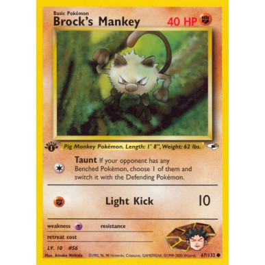 Brock's Mankey