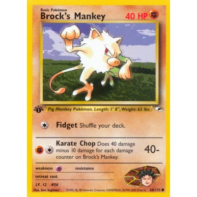 Brock's Mankey