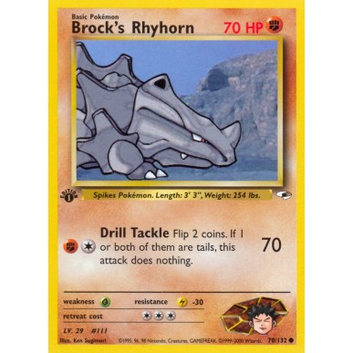 Brock's Rhyhorn