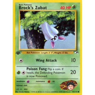 Brock's Zubat