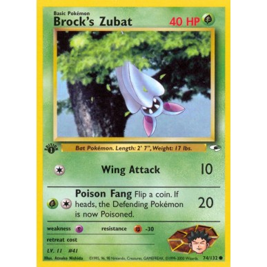 Brock's Zubat