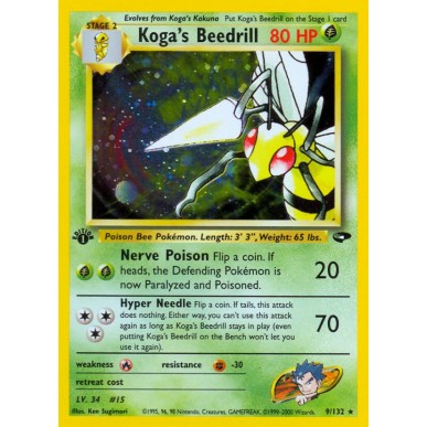 Koga's Beedrill
